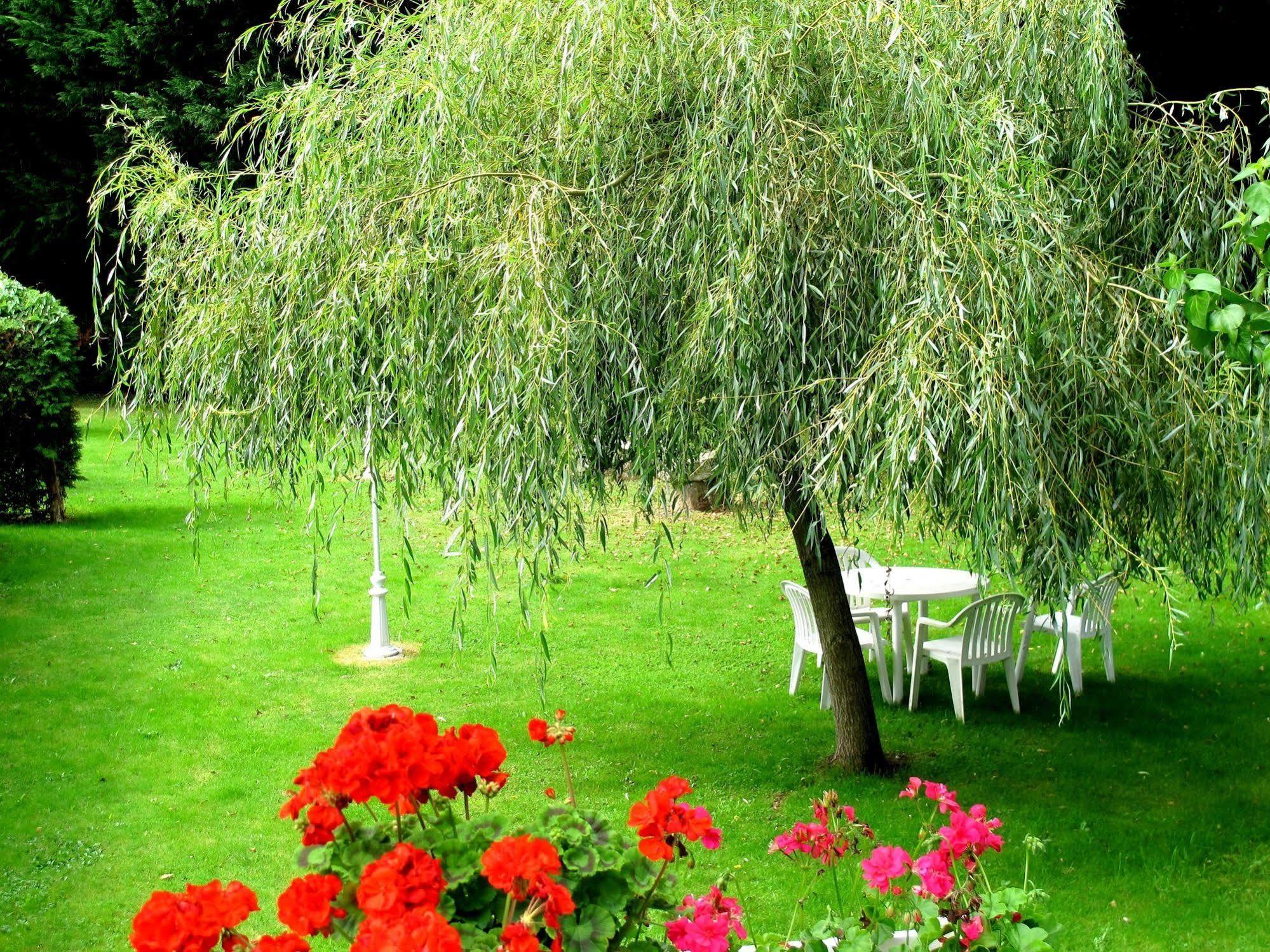 Hotel Logis Deshors-Foujanet Chamboulive Exterior foto